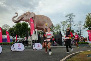 BIB: 
                            <button type="button" onclick="openModal(26528644)" class="btn btn-primary btn-sm float-right btn-popup" data-toggle="modal" data-target=".modal-high-quality">
                        <i class="fas fa-shopping-cart"></i> Add to Cart
                    </button>
                                            <button type="button" onclick="isThisMe(26528644, true)" class="btn btn-success btn-sm float-right btn-popup btn-isme hidden" data-toggle="tooltip" data-placement="bottom" title="นี่คือรูปของคุณใช่ไหม คลิกที่นี่เพื่อเอาเข้าอัลบั้ม">
                        <i class="fas fa-plus"></i> Add to album
                    </button>
                    <button type="button" onclick="isThisMe(26528644, false)" class="btn btn-warning btn-sm float-right btn-popup btn-isnotme hidden">
                        <i class="fas fa-ban"></i> Remove from album
                    </button>